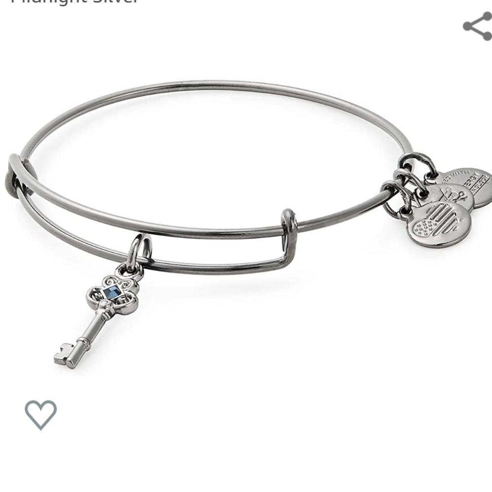 NWT Alex and Ani Key to Wisdom Midnight Silver